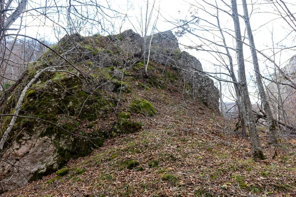 Panorámás Kilátás Nyílik Hegyi Folyóra Kanyonból Pihenjen Hegyekben Egy Őszi — Stock Fotó