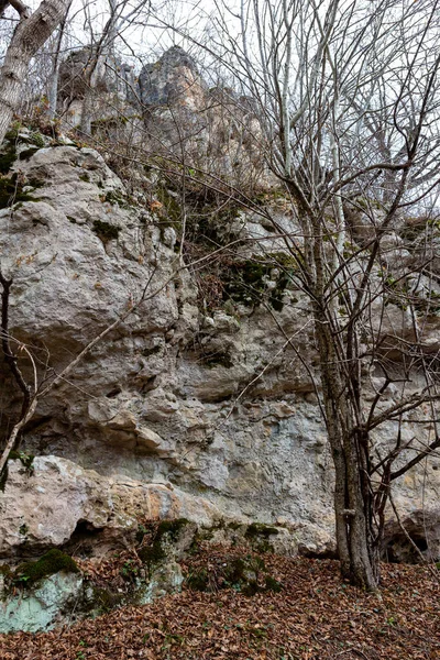 Panorámás Kilátás Nyílik Hegyi Folyóra Kanyonból Pihenjen Hegyekben Egy Őszi — Stock Fotó