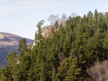 Sonbaharın sonları, donuk zaman ve bulutlu gökyüzü, donuk renkler ve kışın nefesi, kırsalda yürümek. -