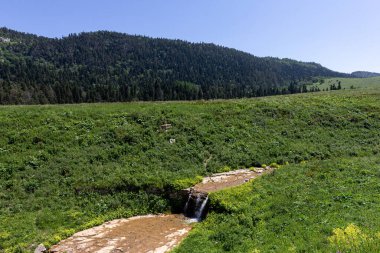 Dağ nehrinin kaynakları, nehir yatağı boyunca yolculuk, sığ zemin ve güneş ışığında ısınan taşlar..