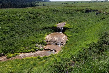 Dağ nehrinin kaynakları, nehir yatağı boyunca yolculuk, sığ zemin ve güneş ışığında ısınan taşlar..