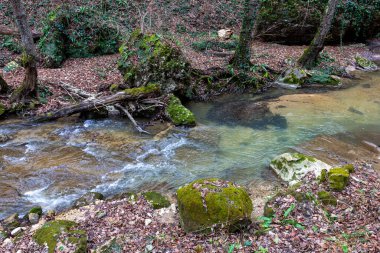 dağ nehri, sonbahar, doğa parkı, temiz su, pitoresk yerler; bulutlu gün, seyahat, ekoloji. -