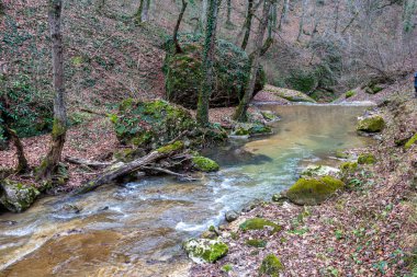 dağ nehri, sonbahar, doğa parkı, temiz su, pitoresk yerler; bulutlu gün, seyahat, ekoloji. -