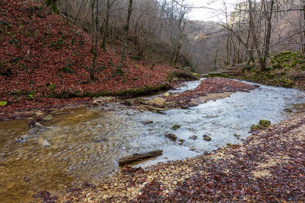 Rio Montanha Outono Parque Natural Água Limpa Lugares Pitorescos Dia — Fotografia de Stock