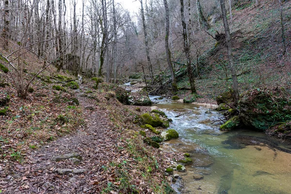 Górska Rzeka Jesień Park Przyrody Czysta Woda Malownicze Miejsca Zachmurzony — Zdjęcie stockowe