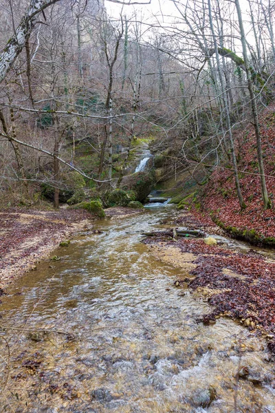 Sungai Pegunungan Musim Gugur Taman Alam Air Bersih Tempat Yang — Stok Foto