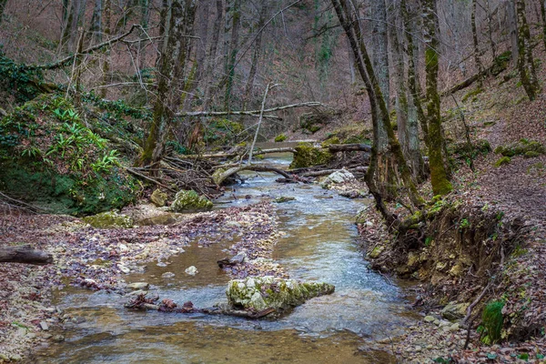 Gebirgsfluss Herbst Naturpark Sauberes Wasser Malerische Orte Bewölkter Tag Reisen — Stockfoto
