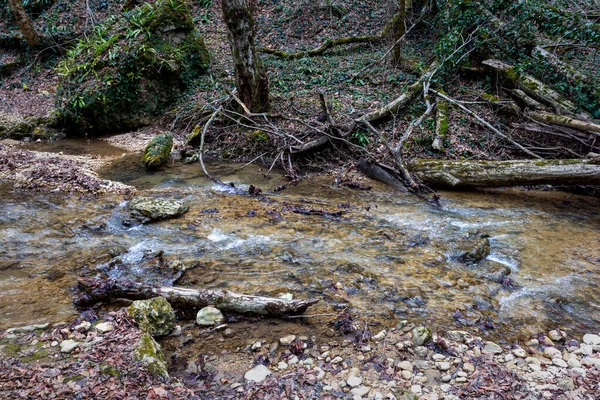 Río Montaña Otoño Parque Natural Agua Limpia Lugares Pintorescos Día — Foto de Stock