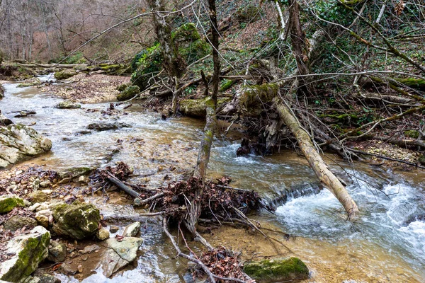 Gebirgsfluss Herbst Naturpark Sauberes Wasser Malerische Orte Bewölkter Tag Reisen — Stockfoto