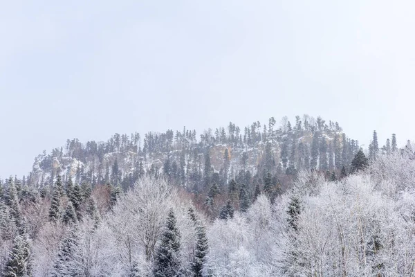 Forêt Enneigée Hiver Dans Les Montagnes Pentes Majestueuses Captivité Neige — Photo