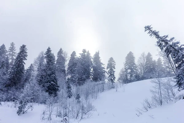산속의 눈덮인 눈으로 둘러싸인 산비탈 — 스톡 사진