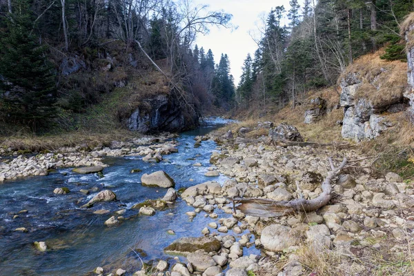 Подорожуючи Уздовж Ліжка Гірської Річки Осінній День Природа Готується Зимової — стокове фото