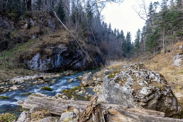 Ταξιδεύοντας Κατά Μήκος Της Κοίτης Ενός Ορεινού Ποταμού Μια Φθινοπωρινή — Φωτογραφία Αρχείου