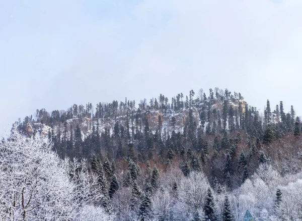 Зимний Горный Лес Расположенный Хребте Туристического Маршрута — стоковое фото