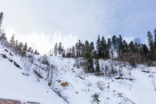 Dağlar Güneşli Bir Kış Gününde Dağlık Arazinin Panoramik Manzarası Doğa — Stok fotoğraf