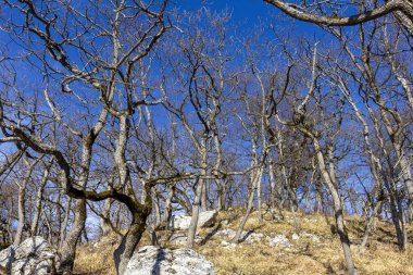 Güneşli bir günde kışın dağ manzarası, kar örtüsü olmadan, gözlem güvertelerinde..