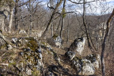 Güneşli bir günde kışın dağ manzarası, kar örtüsü olmadan, gözlem güvertelerinde..