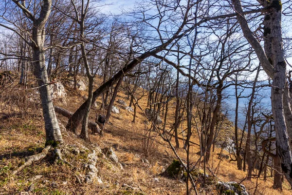 Güneşli Bir Günde Kışın Dağ Manzarası Kar Örtüsü Olmadan Gözlem — Stok fotoğraf