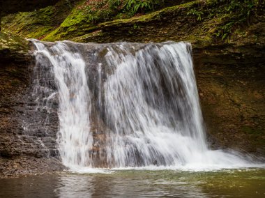 Doğal nehir yatağı ve bir dağ nehri üzerindeki şelaleler, sonbahar doğal bir parkta, resimli yerlerde yürüyor.