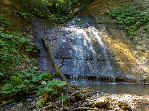 Matin Été Une Promenade Long Lit Une Rivière Montagne Variété — Photo