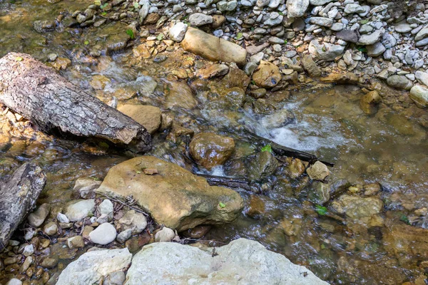 Mattina Estiva Passeggiata Lungo Letto Fiume Montagna Varietà Fioritura Erbe — Foto Stock