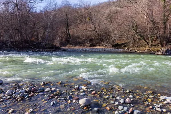 Autumn Morning Walk Bed Mountain River — Stok Foto