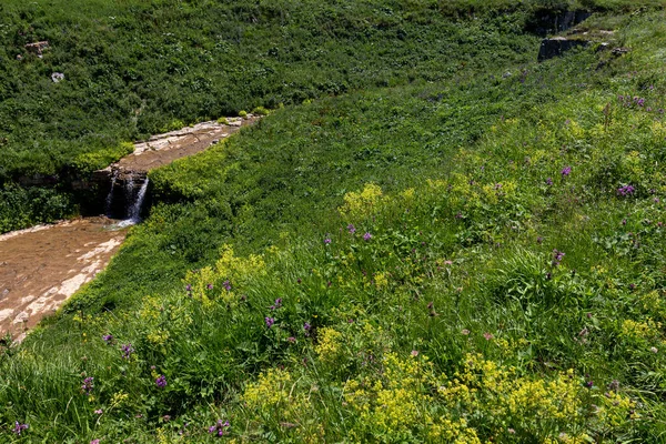 Las Fuentes Del Río Montaña Viaje Largo Del Lecho Del —  Fotos de Stock