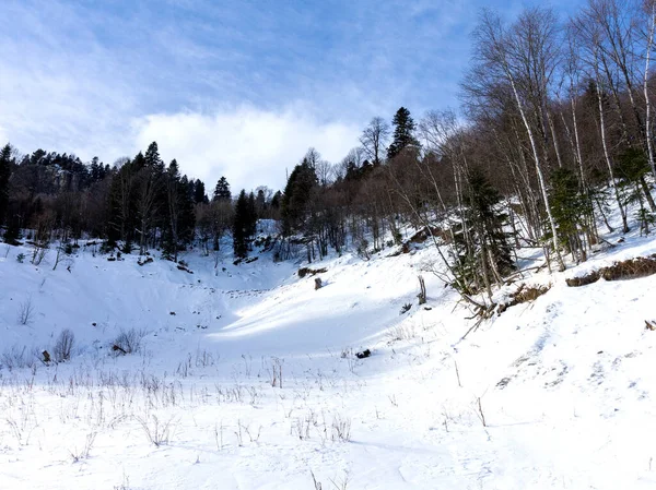 晴れた冬の日の山岳地帯のパノラマビュー自然との散歩やコミュニケーション — ストック写真