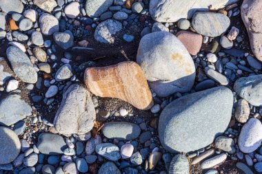 Dağ nehrinin kaynakları, nehir yatağı boyunca yolculuk, sığ zemin ve güneş ışığında ısınan taşlar.. +
