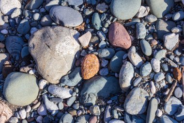 Dağ nehrinin kaynakları, nehir yatağı boyunca yolculuk, sığ zemin ve güneş ışığında ısınan taşlar.. +