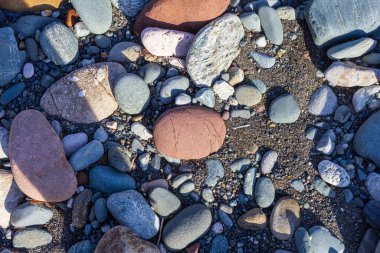 Dağ nehrinin kaynakları, nehir yatağı boyunca yolculuk, sığ zemin ve güneş ışığında ısınan taşlar.. +
