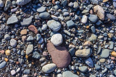 Dağ nehrinin kaynakları, nehir yatağı boyunca yolculuk, sığ zemin ve güneş ışığında ısınan taşlar.. +