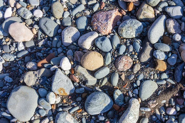 Sorgenti Del Fiume Montagna Viaggio Lungo Letto Del Fiume Fondo — Foto Stock