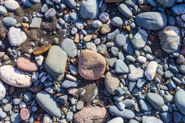 Sorgenti Del Fiume Montagna Viaggio Lungo Letto Del Fiume Fondo — Foto Stock