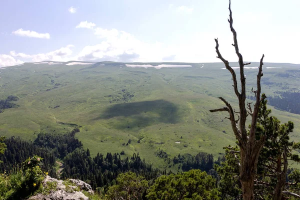 Afzonderlijke Bomen Van Bovenste Laag Van Het Hoogplateau Die Rotsen — Stockfoto