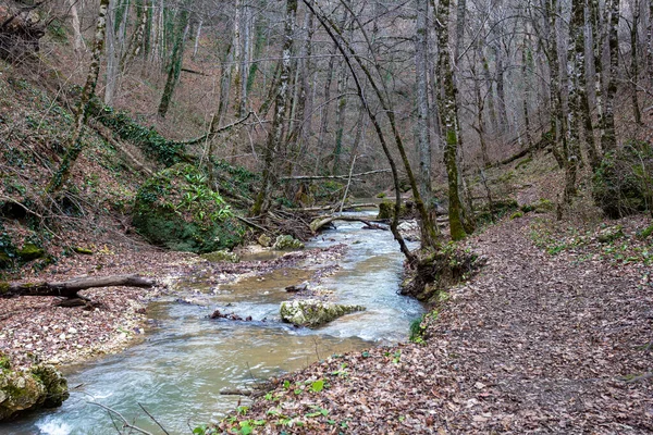 Montagna Canyon Fiume Fine Stagione Autunnale Europa — Foto Stock