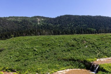 Dağ nehrinin kaynakları, nehir yatağı boyunca yolculuk, sığ zemin ve güneş ışığında ısınan taşlar.. 