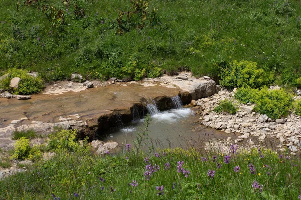 Las Fuentes Del Río Montaña Viaje Largo Del Lecho Del —  Fotos de Stock