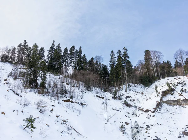 Hiver Panorama Montagne Forêt Enneigée Promenades Plein Air — Photo