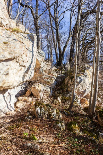 Berge Während Der Wintersonnenwende Route Entlang Des Bergrückens Panoramablick Auf — Stockfoto