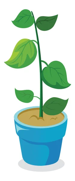Молодое растение — стоковый вектор