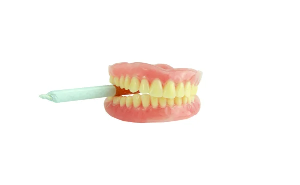 Full denture with joint isolate — Stock Photo, Image