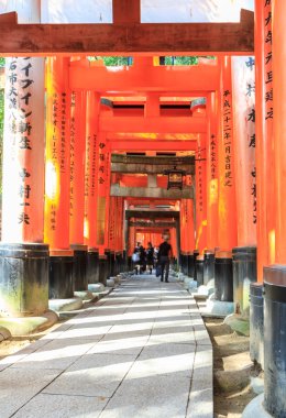 Fushimi Inari Tapınağı 'ndaki Torii kapıları, Kyoto, Japonya