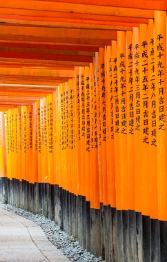 Fushimi Inari Tapınağı 'ndaki Torii kapıları, Kyoto, Japonya