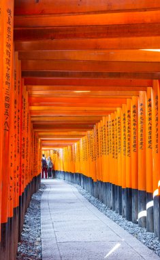 Fushimi Inari Tapınağı 'ndaki Torii kapıları, Kyoto, Japonya
