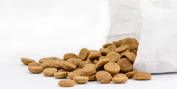 Köpek maması ile kağıt torba