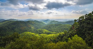 Güzel bir dağ vadisinin panoramik manzarası