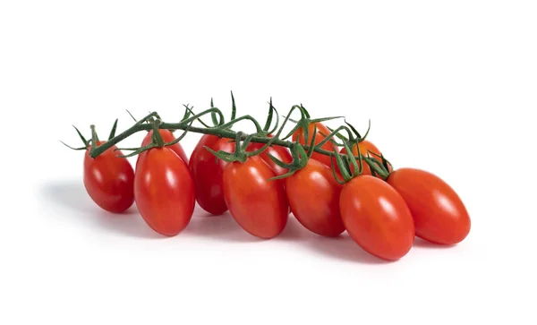 Tomate Sur Branche Isolée Blanc — Photo