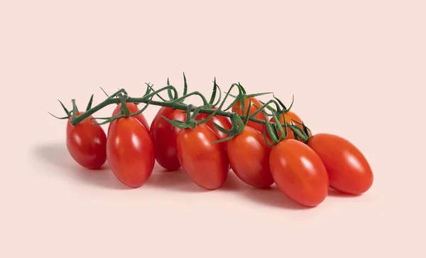 Tomate Auf Zweig Isoliert — Stockfoto