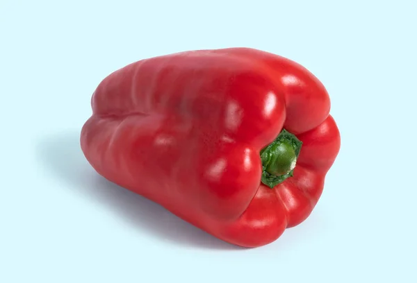 Red Pepper Isolated Blue Background — Stock Photo, Image